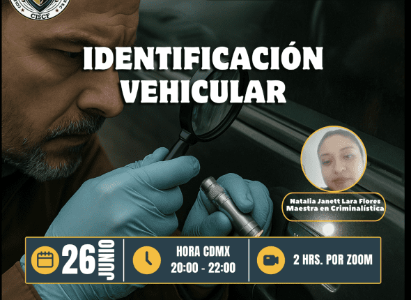 Captura de pantalla 2025-06-27 a las 12.57.12 a. m.